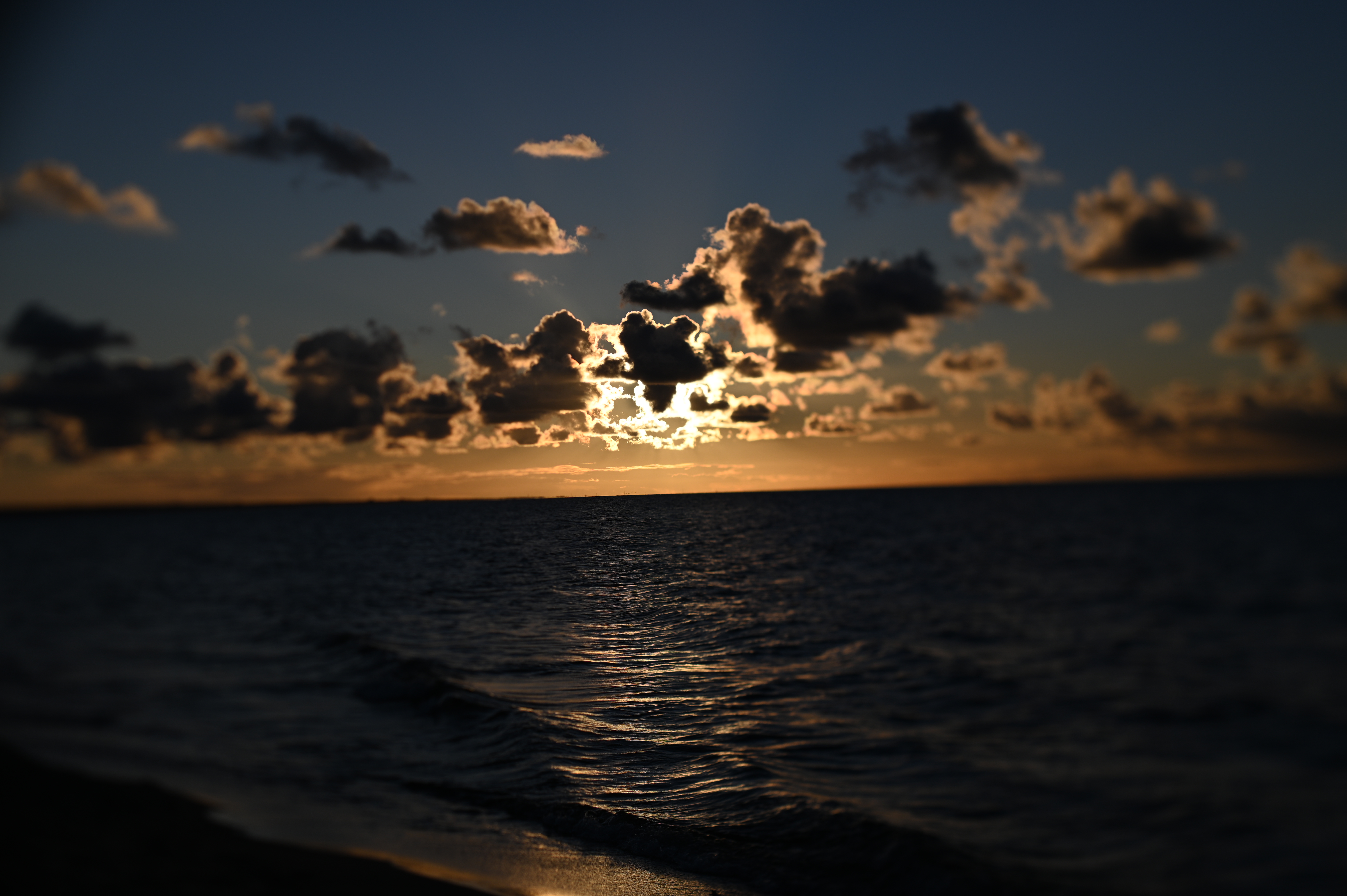 2025/10/18 - walk/DSC_0291.JPG